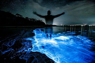 Playa bioluminiscente.
